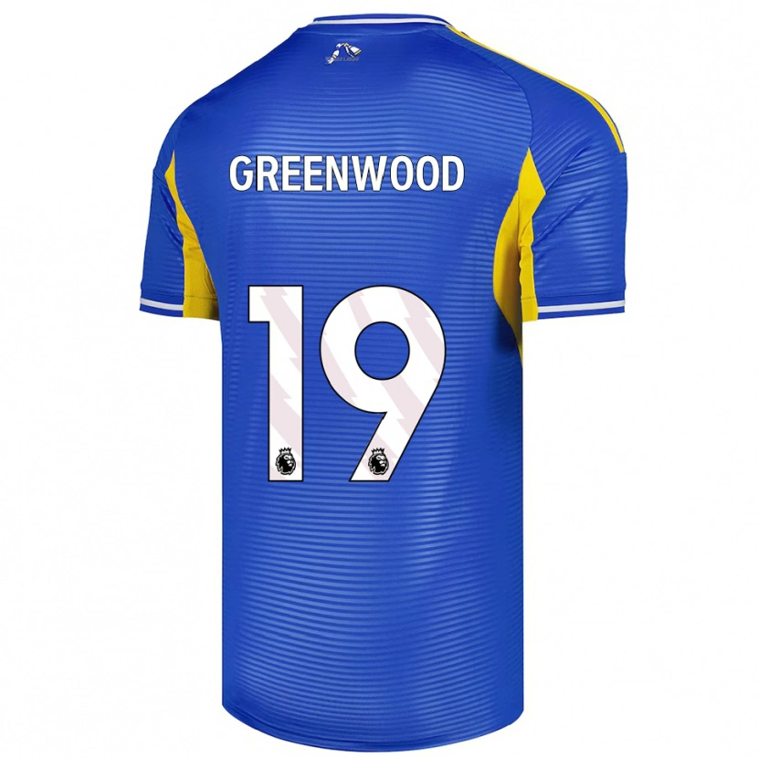 Danxen Mann Sam Greenwood #19 Blå Gul Bortetrøye Drakt Trøye 2025/26 Skjorter T-Skjorte