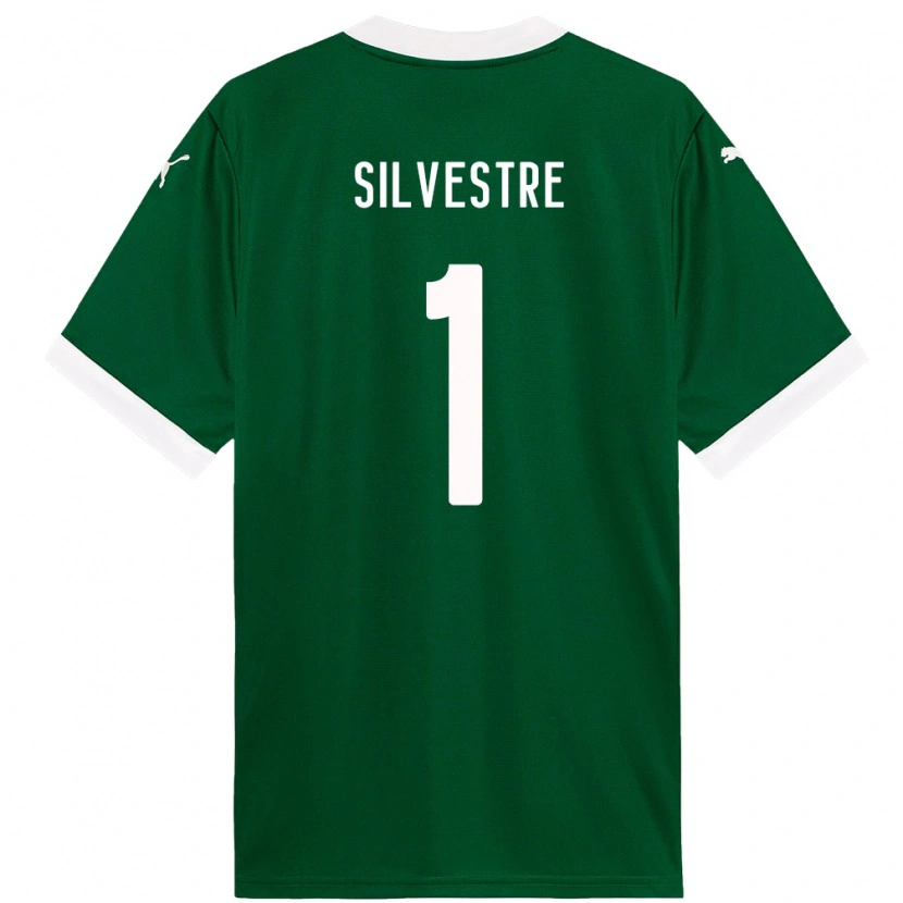Danxen Mann Vinicius Silvestre #1 Grønn Hvit Hjemmetrøye Drakt Trøye 2025/26 Skjorter T-Skjorte
