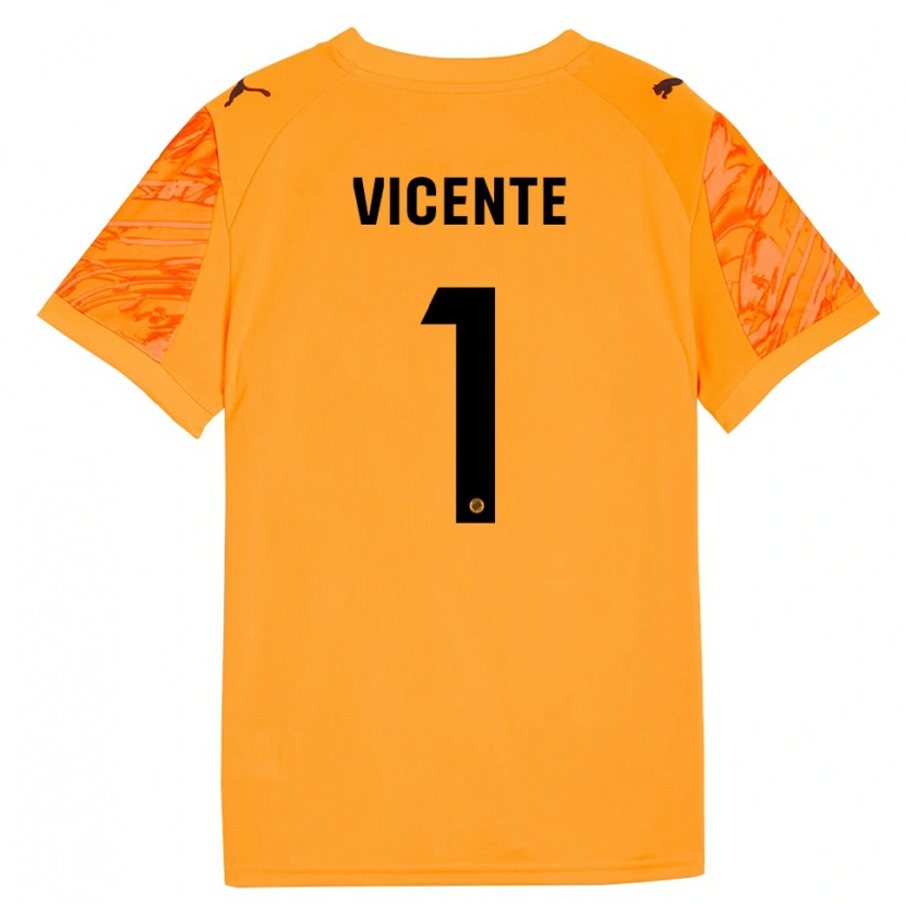 Danxen Barn Diego Vicente #1 Oransje Svart Keeperdrakt 2025/26 Skjorter T-skjorte