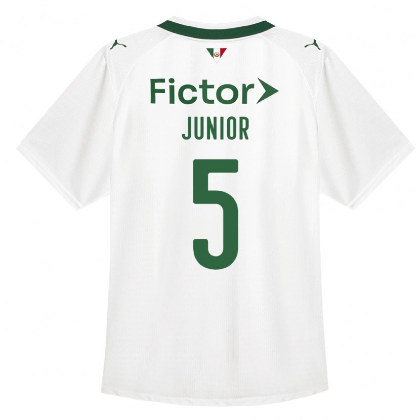 Danxen Barn Amilton Junior #5 Grønn Hvit Bortetrøye Drakt Trøye 2026/27 Skjorter T-Skjorte