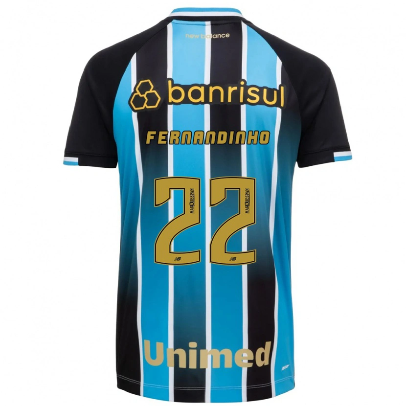 Danxen Mann Fernandinho #22 Blå Brun Svart Hjemmetrøye Drakt Trøye 2026/27 Skjorter T-Skjorte