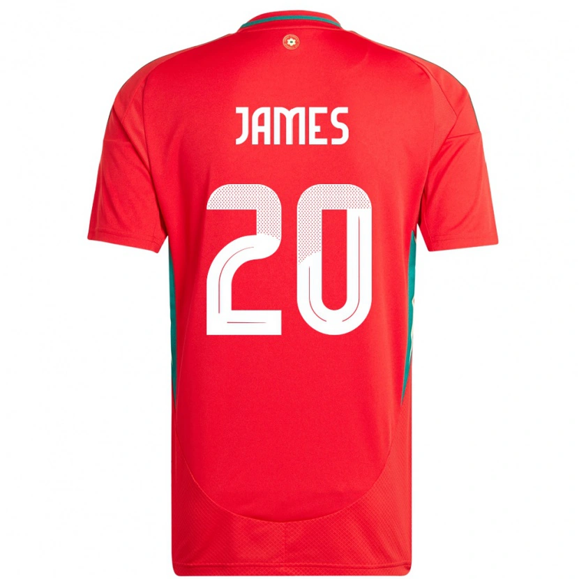 Danxen Barn Wales Daniel James #20 Rød Hjemmetrøye Drakt Trøye 24-26 Skjorter T-Skjorte