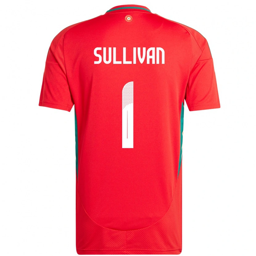 Danxen Barn Wales Laura O Sullivan #1 Rød Hjemmetrøye Drakt Trøye 24-26 Skjorter T-Skjorte