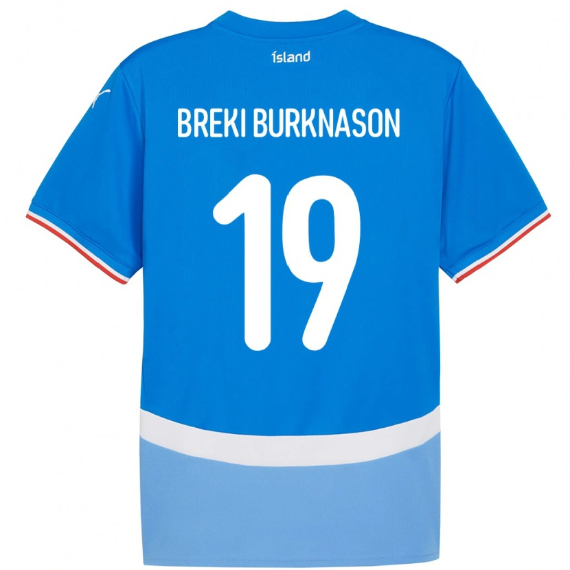 Danxen Barn Island Birnir Breki Burknason #19 Blå Hjemmetrøye Drakt Trøye 24-26 Skjorter T-Skjorte