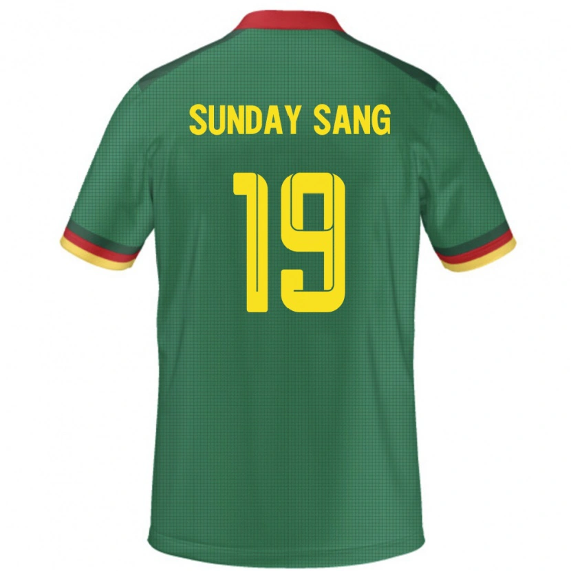 Danxen Mann Kamerun Junior Sunday Sang #19 Grønn Hjemmetrøye Drakt Trøye 24-26 Skjorter T-Skjorte