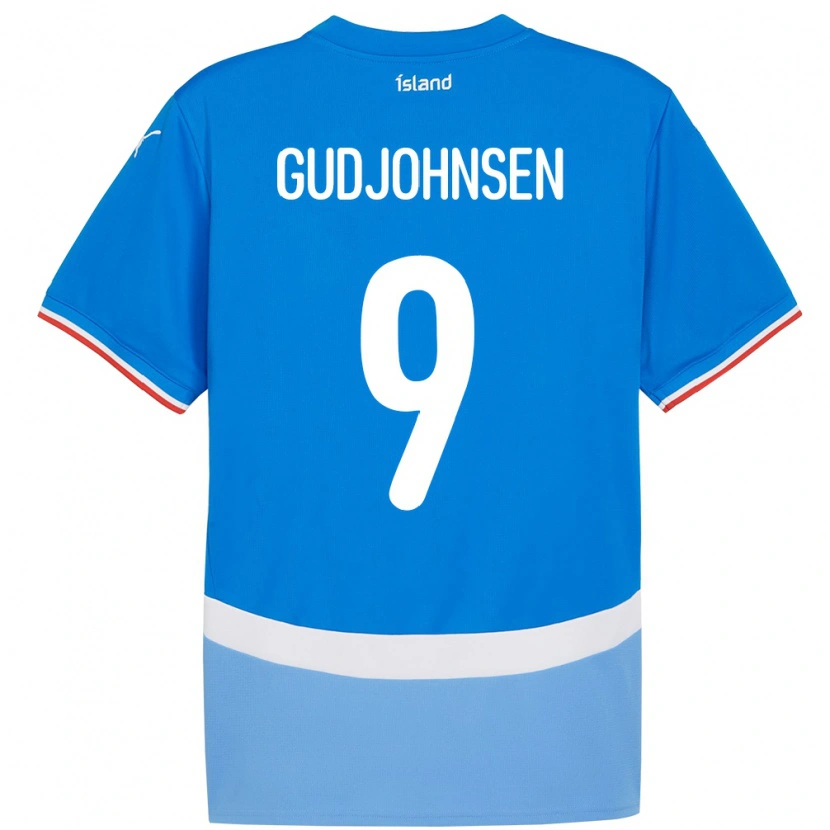 Danxen Mann Island Daníel Gudjohnsen #9 Blå Hjemmetrøye Drakt Trøye 24-26 Skjorter T-Skjorte