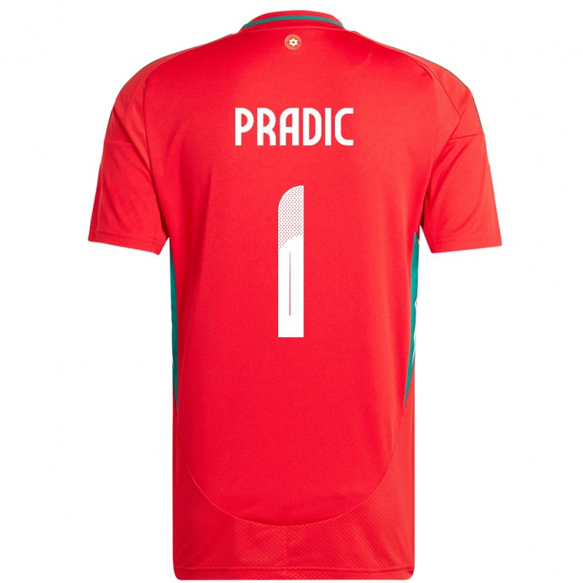 Danxen Dame Wales James Pradic #1 Rød Hjemmetrøye Drakt Trøye 24-26 Skjorter T-Skjorte
