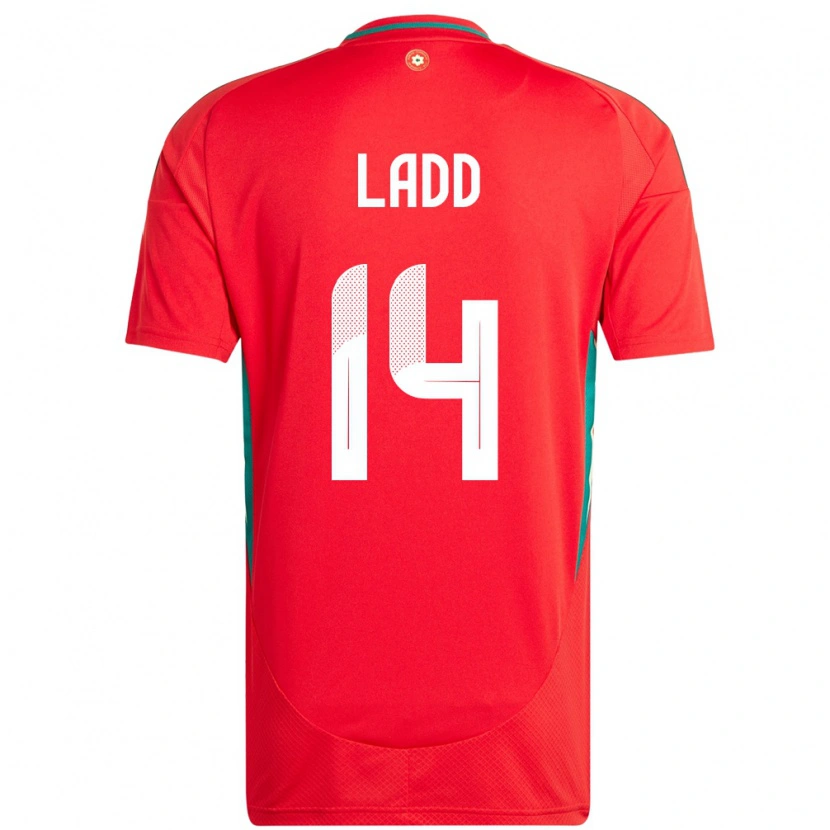 Danxen Dame Wales Hayley Ladd #14 Rød Hjemmetrøye Drakt Trøye 24-26 Skjorter T-Skjorte