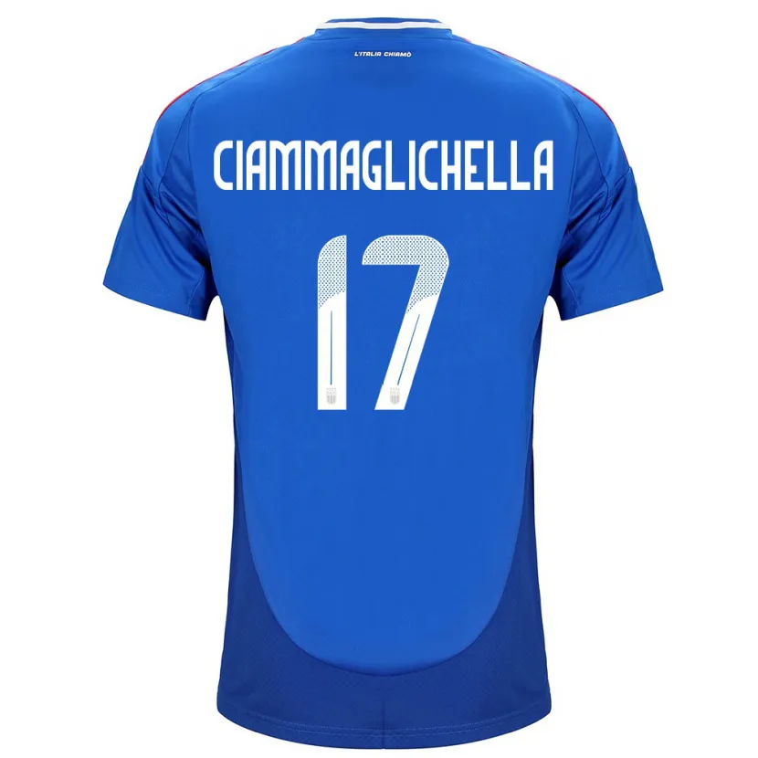 Danxen Barn Italia Aaron Ciammaglichella #17 Blå Hjemmetrøye Drakt Trøye 24-26 Skjorter T-Skjorte