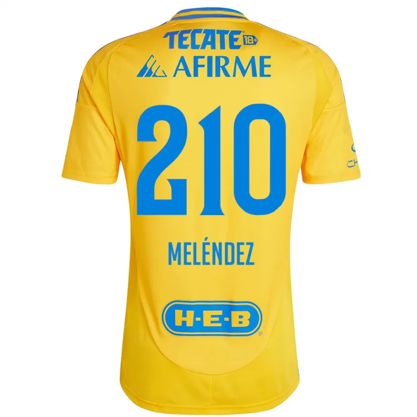 Danxen Mann Marcelo Meléndez #210 Gull Gul Hjemmetrøye Drakt Trøye 2024/25 Skjorter T-Skjorte