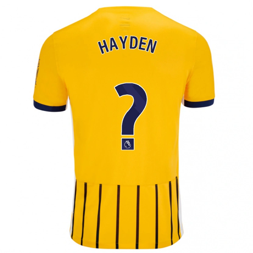 Danxen Barn Matthew Hayden #0 Gullblå Nålestriper Bortetrøye Drakt Trøye 2024/25 Skjorter T-Skjorte