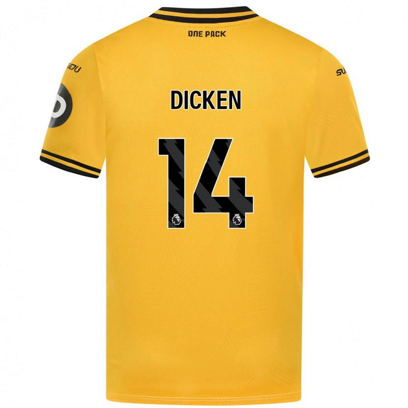 Danxen Mann Amy Dicken #14 Gul Hjemmetrøye Drakt Trøye 2024/25 Skjorter T-Skjorte