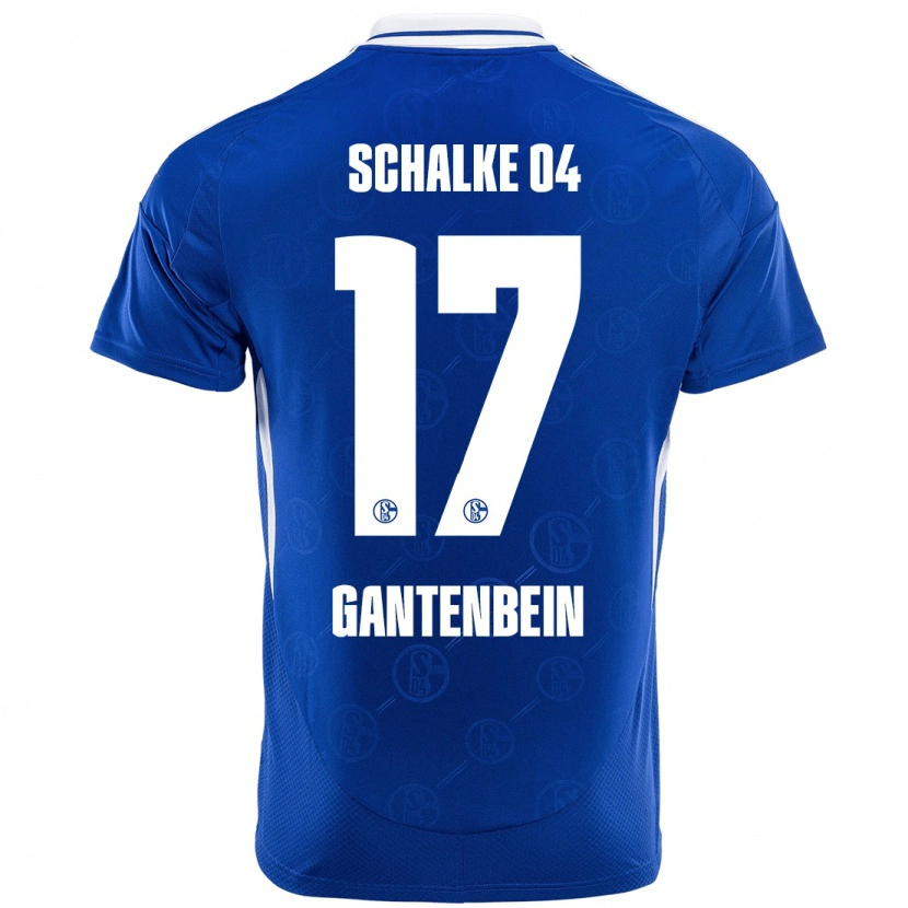 Danxen Mann Adrian Gantenbein #17 Kongeblått Hjemmetrøye Drakt Trøye 2024/25 Skjorter T-Skjorte
