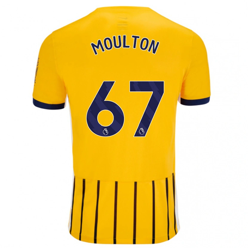 Danxen Dame Remiero Moulton #67 Gullblå Nålestriper Bortetrøye Drakt Trøye 2024/25 Skjorter T-Skjorte