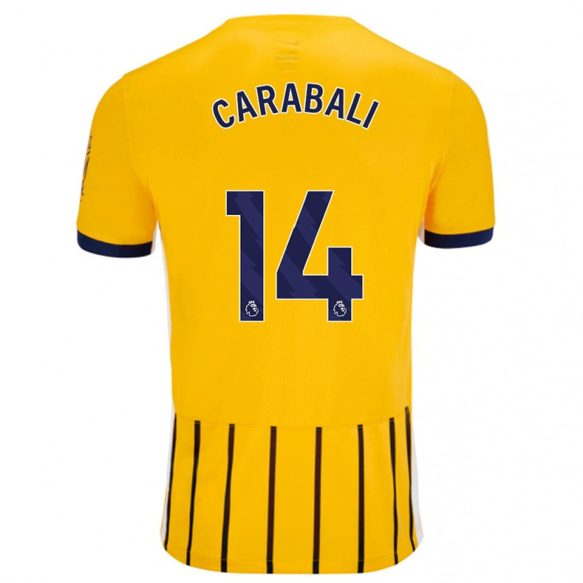 Danxen Dame Jorelyn Carabalí #14 Gullblå Nålestriper Bortetrøye Drakt Trøye 2024/25 Skjorter T-Skjorte