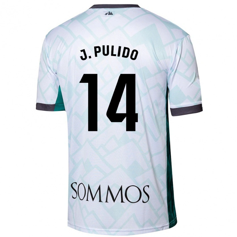 Danxen Mann Jorge Pulido #14 Hvit Grønn Bortetrøye Drakt Trøye 2024/25 Skjorter T-Skjorte