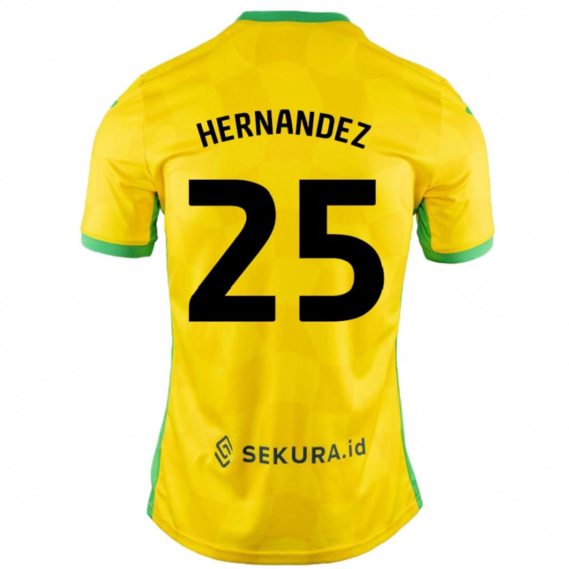 Danxen Mann Onel Hernández #25 Gul Grønn Hjemmetrøye Drakt Trøye 2024/25 Skjorter T-Skjorte