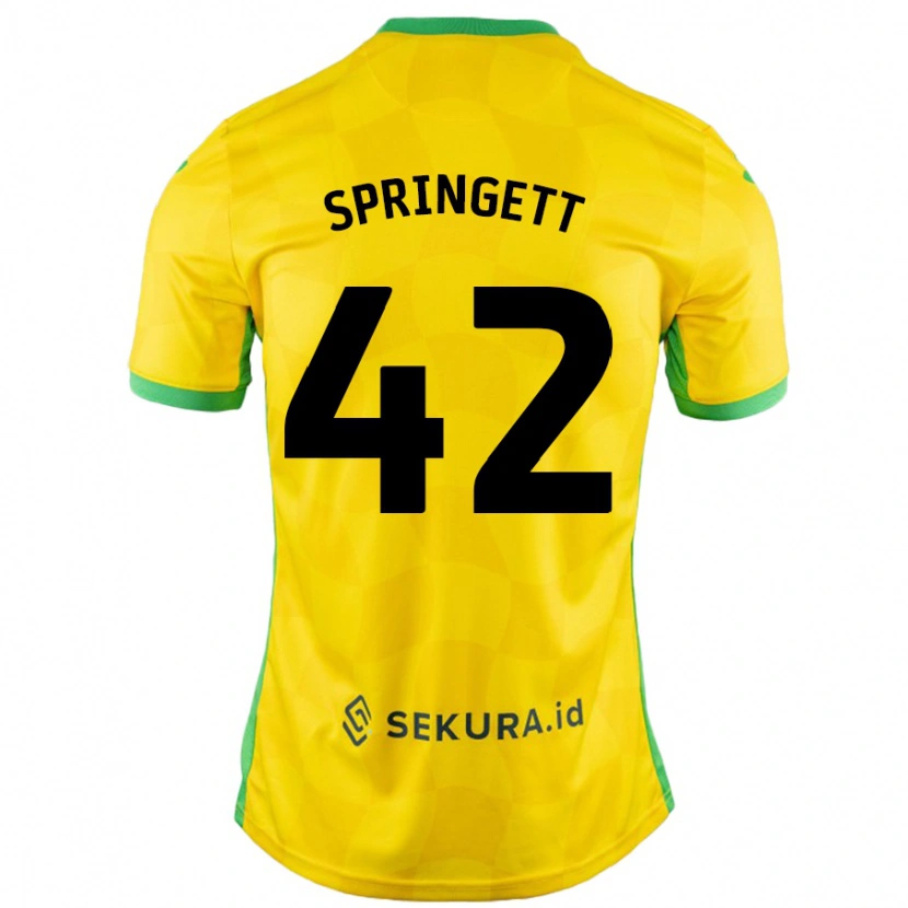 Danxen Mann Tony Springett #42 Gul Grønn Hjemmetrøye Drakt Trøye 2024/25 Skjorter T-Skjorte